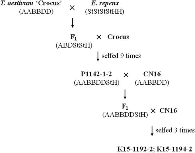 figure9