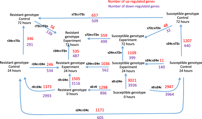 figure2