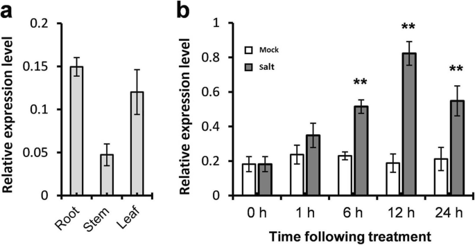 figure5