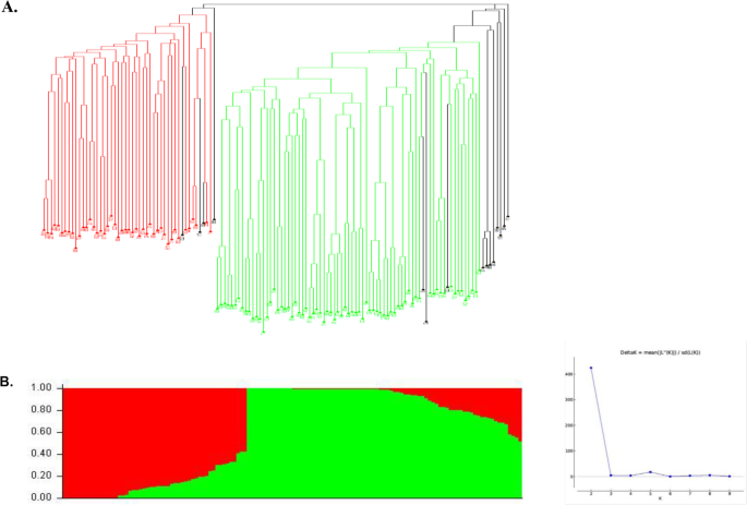 figure2GydF4y2Ba