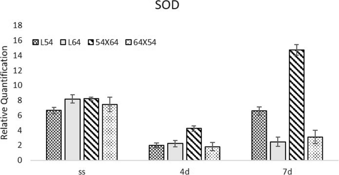 figure5