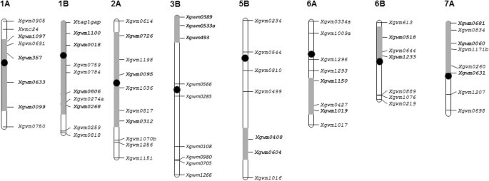 figure2