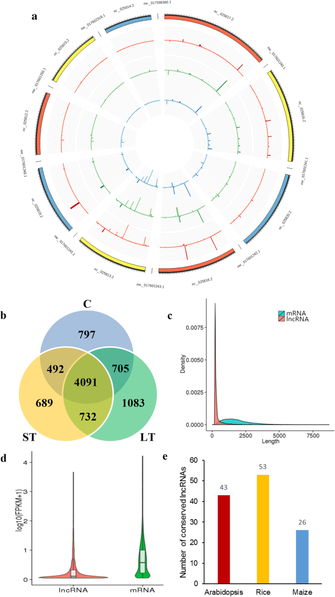 figure2