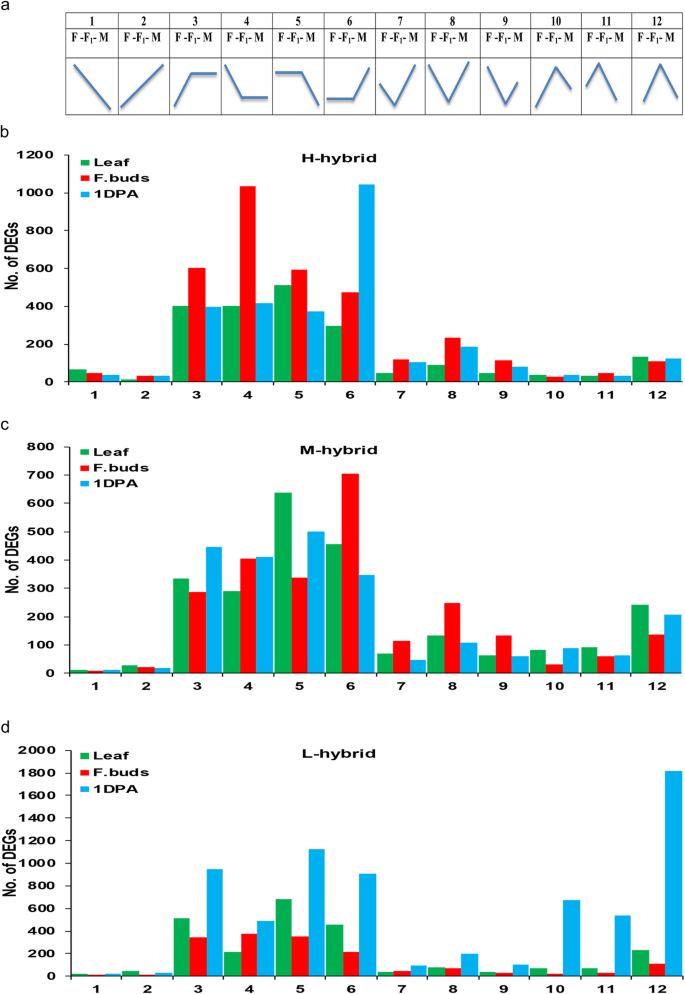 figure5