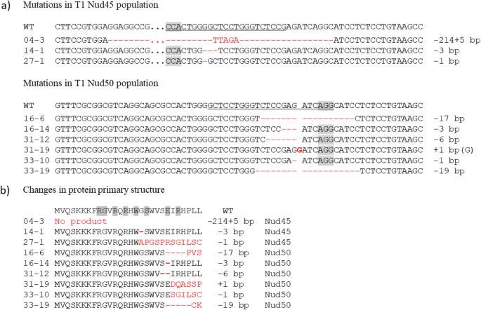 figure4