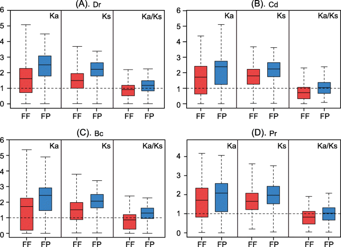 figure6