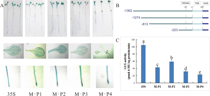 figure2