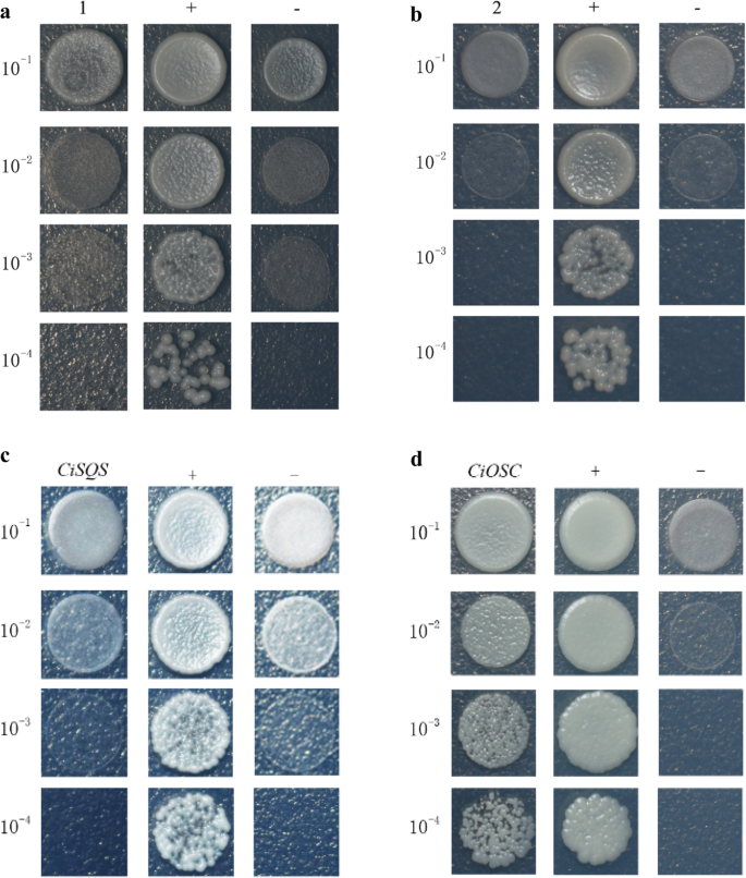 图5.GydF4y2Ba