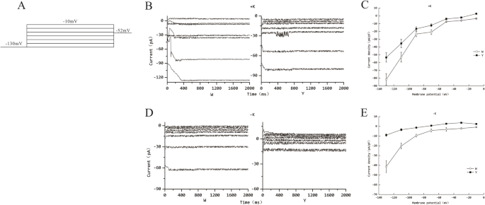 figure2