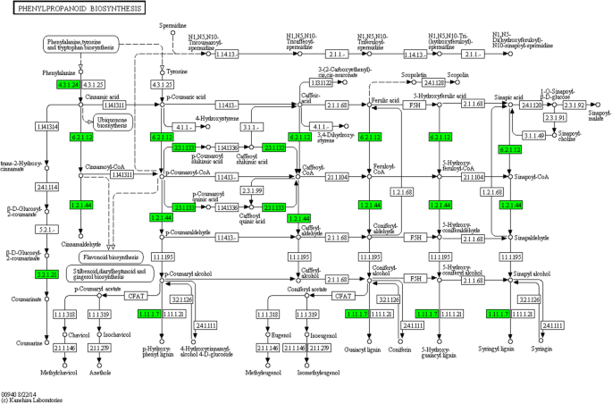 figure3