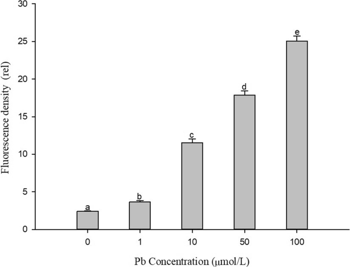 figure6