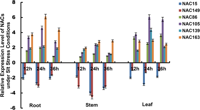 figure6