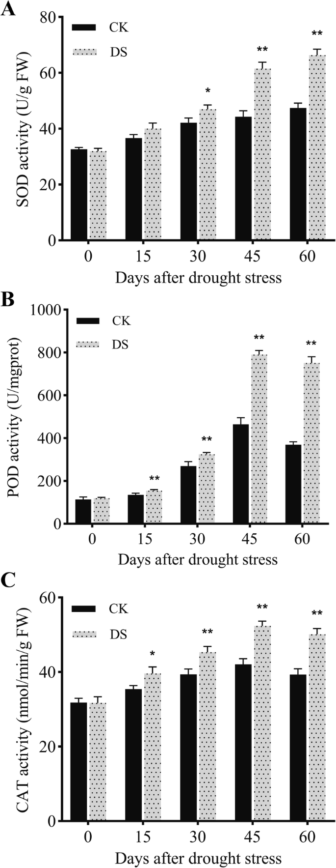 figure3