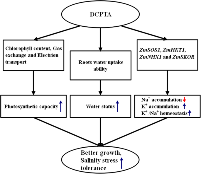 figure9gydF4y2Ba