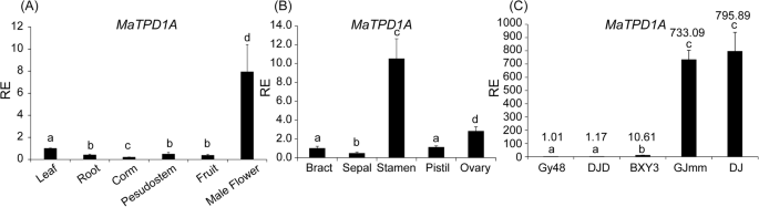 figure2