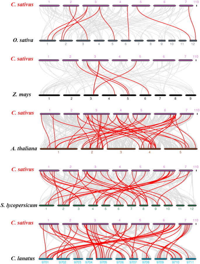 figure6