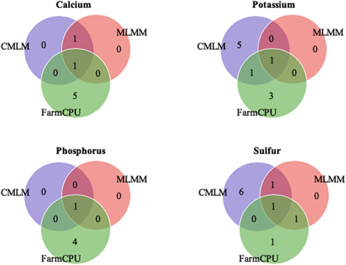 figure5