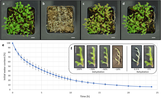 figure2