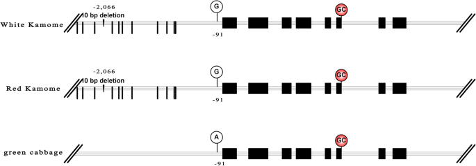 figure5gydF4y2Ba