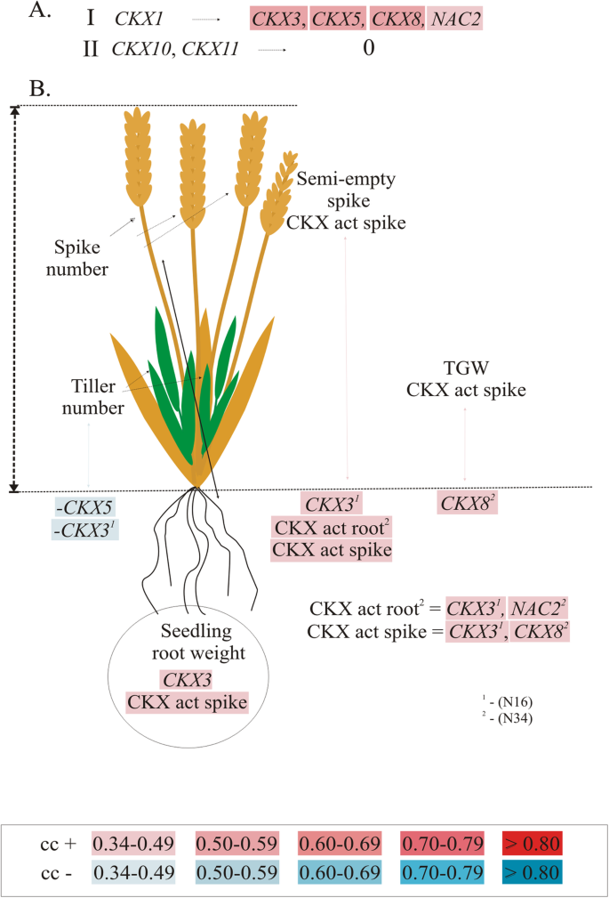 figure5