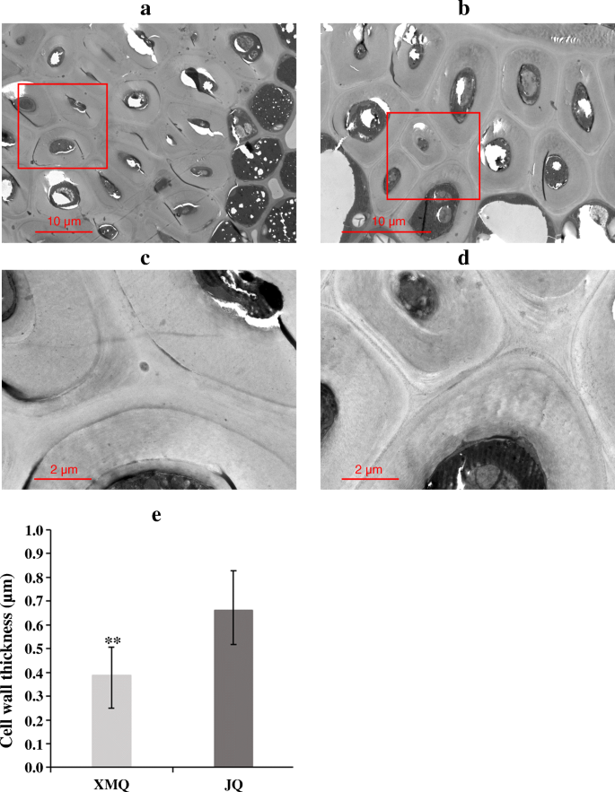 figure5