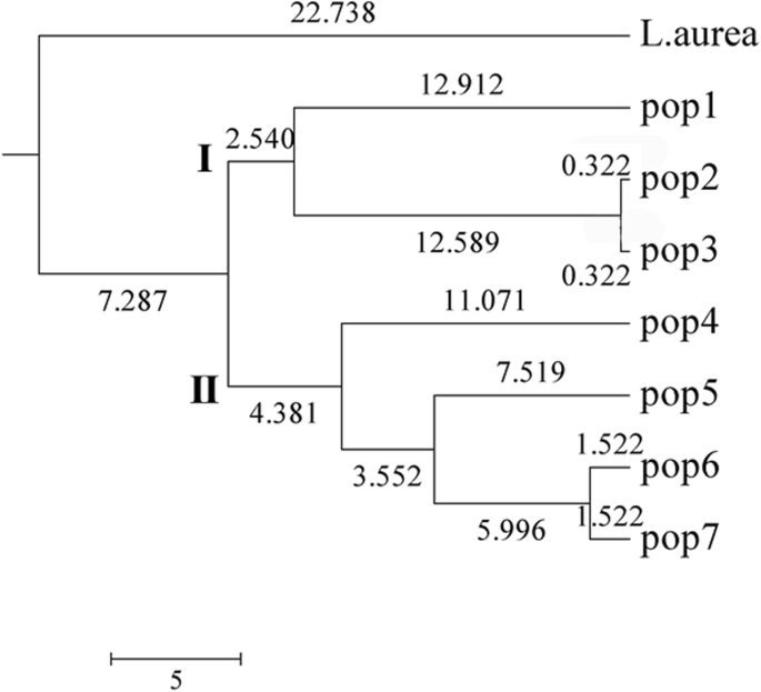 dendrogram construction bioedit