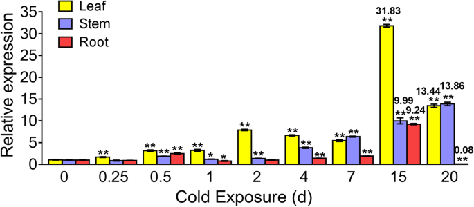 figure5