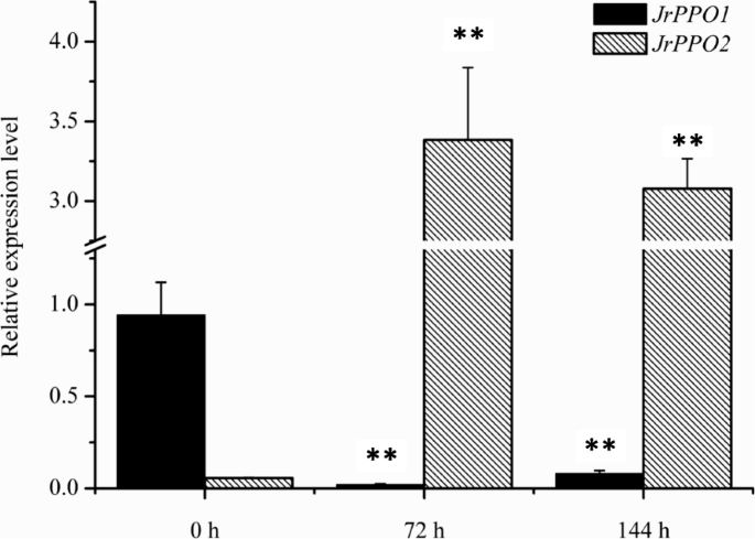 figure5