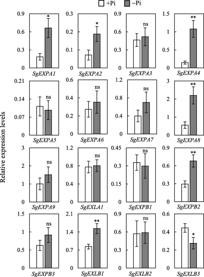 figure2