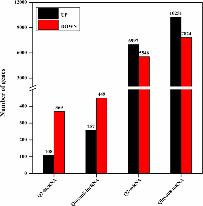 figure2