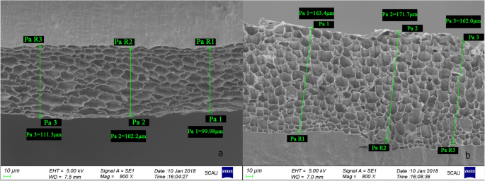 figure2gydF4y2Ba