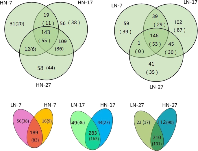 figure2