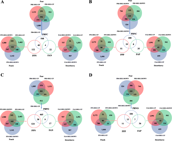 Comparative Transcriptome Analyses Of Fruit Development Among Pears Peaches And Strawberries Provide New Insights Into Single Sigmoid Patterns Bmc Plant Biology Full Text Comparative Transcriptome Analyses Of Fruit Development Among Pears Peaches And Strawberries Provide New Insights Into Single Sigmoid Patterns Bmc Plant Biology Full Text