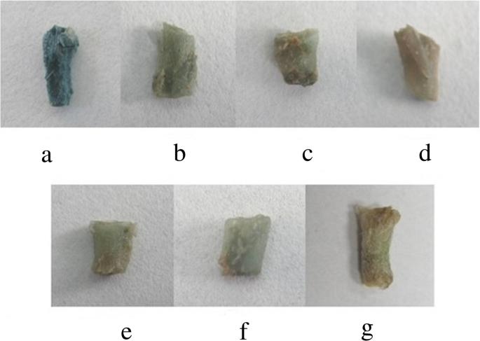 figure6gydF4y2Ba