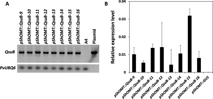 figure2