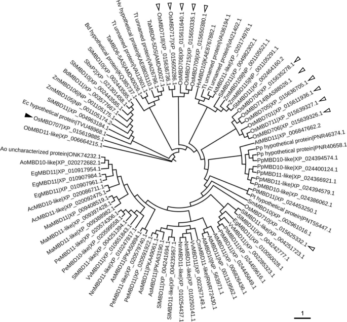 figure2GydF4y2Ba