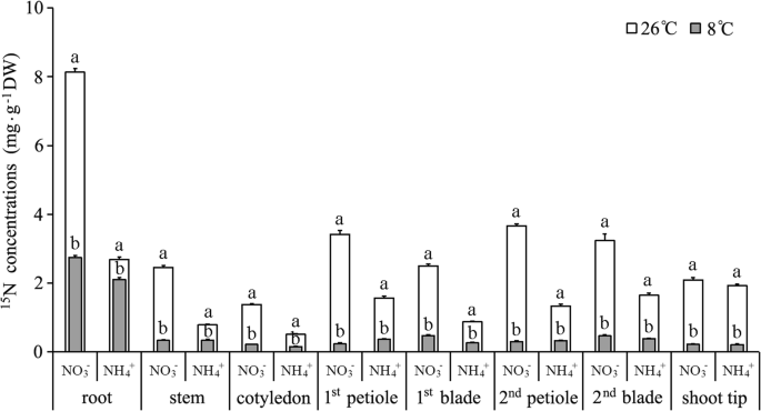 图3.GydF4y2Ba