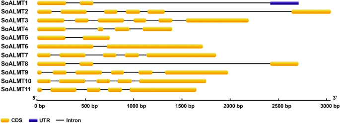 figure2