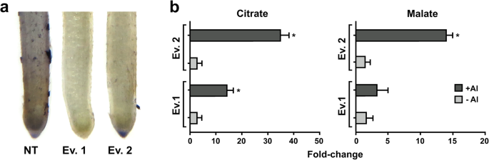 figure5