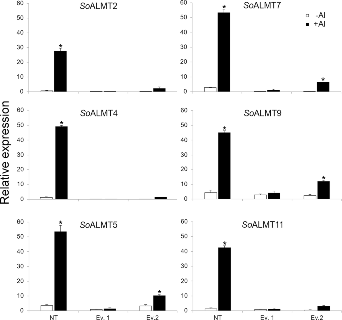 figure6