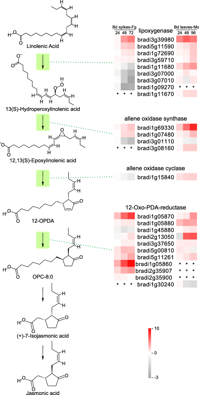 图5.GydF4y2Ba