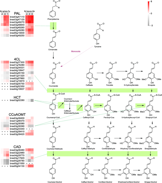 图6.GydF4y2Ba