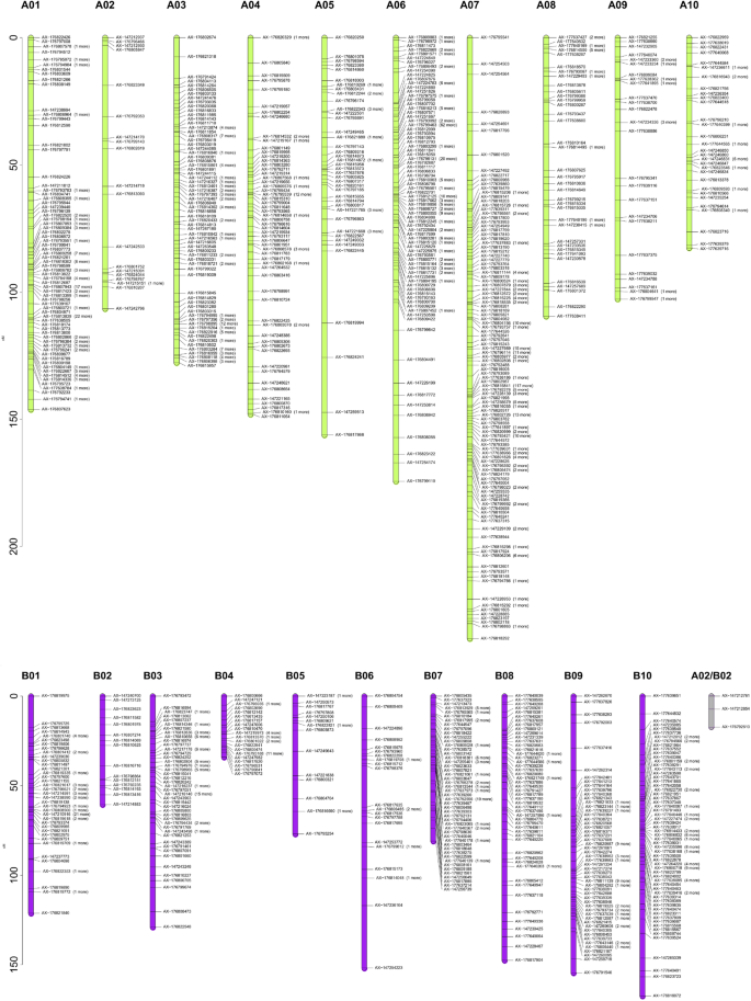 figure2