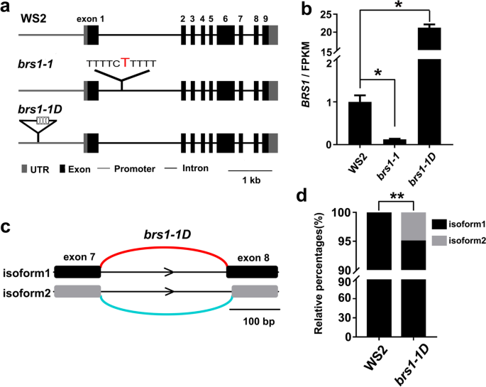 figure2