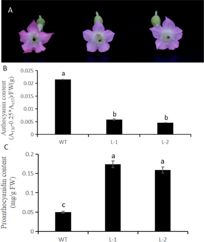 figure7