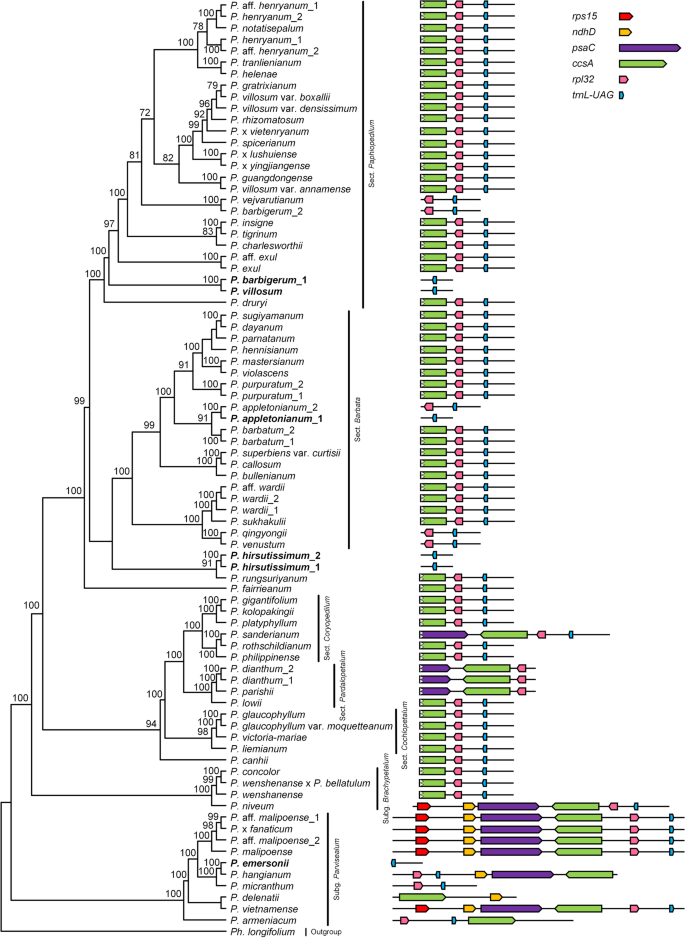 figure2