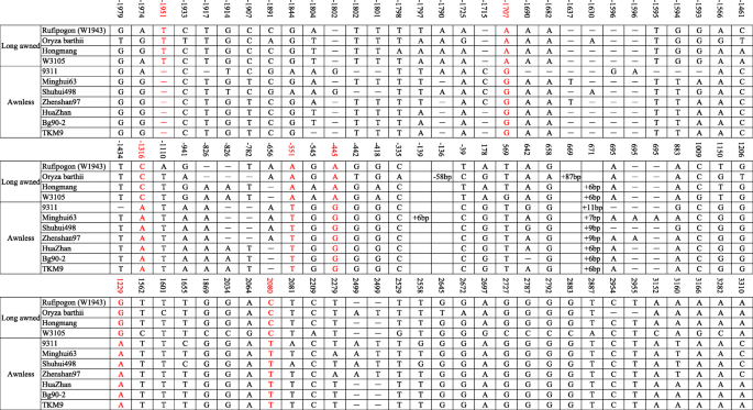 图5.gydF4y2Ba