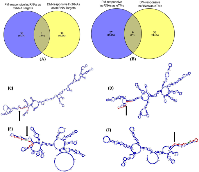 figure6