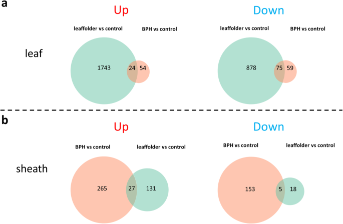 figure2