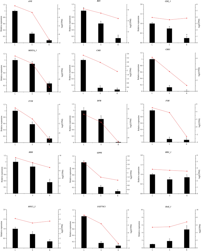 figure6